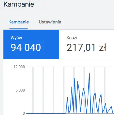 Wyniki kampanii Google Ads i Social Media - DIM
